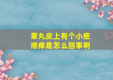 睾丸皮上有个小疙瘩痒是怎么回事啊