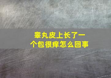 睾丸皮上长了一个包很痒怎么回事