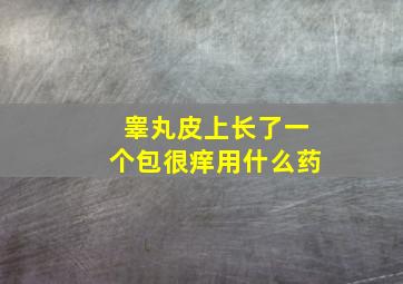 睾丸皮上长了一个包很痒用什么药