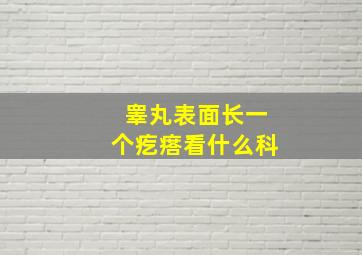 睾丸表面长一个疙瘩看什么科