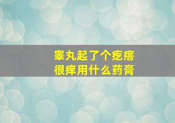 睾丸起了个疙瘩很痒用什么药膏