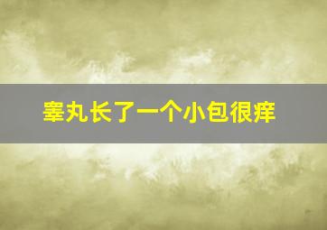 睾丸长了一个小包很痒