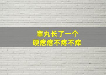 睾丸长了一个硬疙瘩不疼不痒