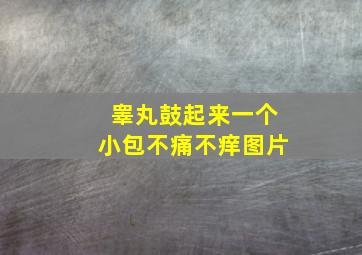 睾丸鼓起来一个小包不痛不痒图片