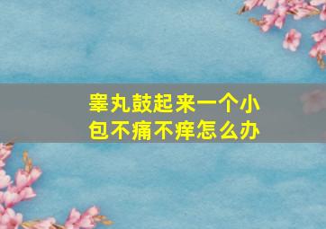 睾丸鼓起来一个小包不痛不痒怎么办