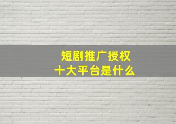 短剧推广授权十大平台是什么