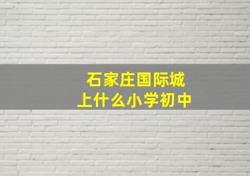 石家庄国际城上什么小学初中