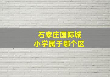 石家庄国际城小学属于哪个区