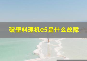 破壁料理机e5是什么故障