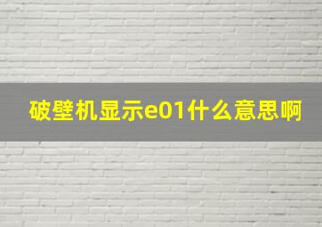 破壁机显示e01什么意思啊