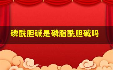 磷酰胆碱是磷脂酰胆碱吗