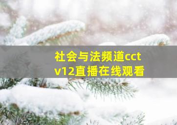 社会与法频道cctv12直播在线观看