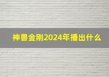 神兽金刚2024年播出什么