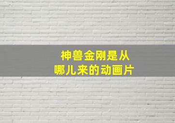 神兽金刚是从哪儿来的动画片