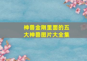 神兽金刚里面的五大神兽图片大全集