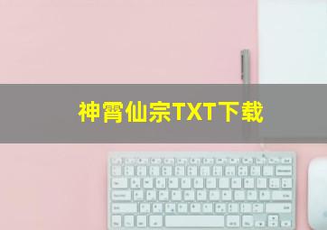 神霄仙宗TXT下载