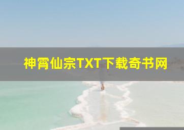 神霄仙宗TXT下载奇书网