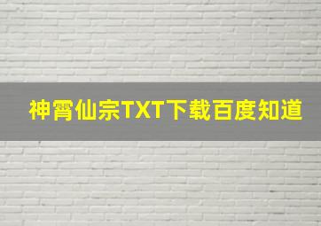 神霄仙宗TXT下载百度知道