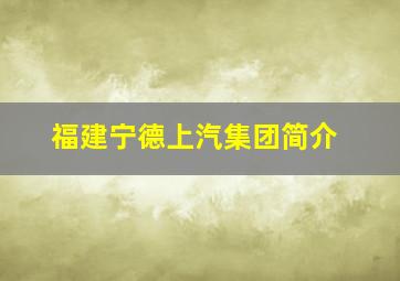 福建宁德上汽集团简介