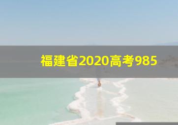 福建省2020高考985