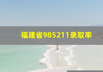 福建省985211录取率