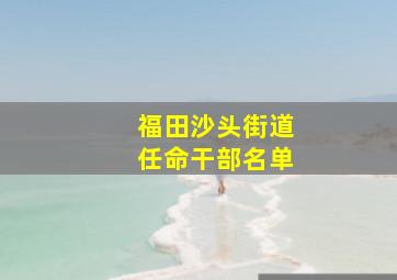 福田沙头街道任命干部名单