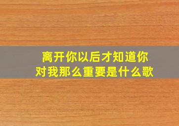 离开你以后才知道你对我那么重要是什么歌