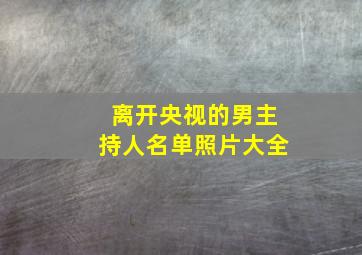 离开央视的男主持人名单照片大全