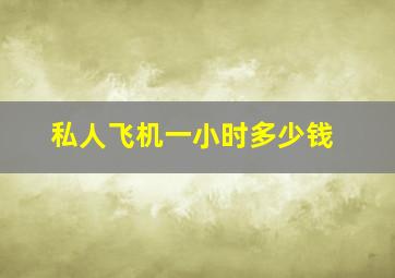 私人飞机一小时多少钱