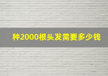 种2000根头发需要多少钱