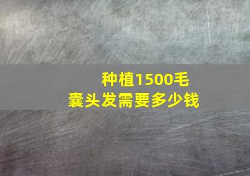 种植1500毛囊头发需要多少钱