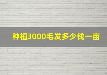 种植3000毛发多少钱一亩