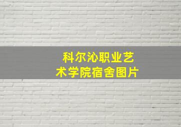 科尔沁职业艺术学院宿舍图片