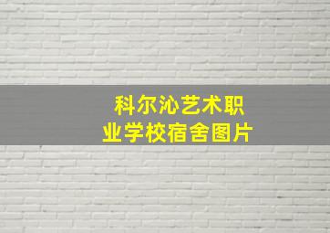 科尔沁艺术职业学校宿舍图片