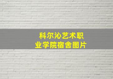 科尔沁艺术职业学院宿舍图片