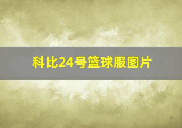 科比24号篮球服图片