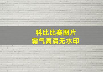 科比比赛图片霸气高清无水印