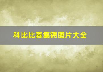 科比比赛集锦图片大全