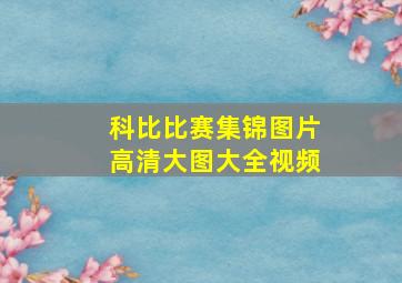 科比比赛集锦图片高清大图大全视频