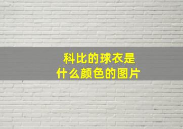 科比的球衣是什么颜色的图片