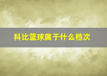 科比篮球属于什么档次