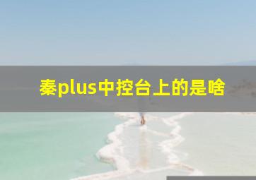 秦plus中控台上的是啥