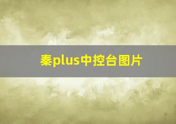 秦plus中控台图片