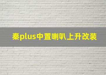 秦plus中置喇叭上升改装