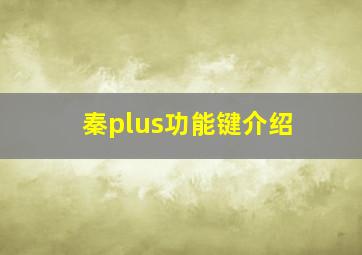 秦plus功能键介绍