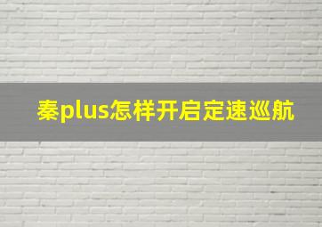 秦plus怎样开启定速巡航