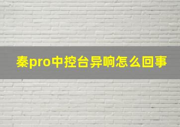 秦pro中控台异响怎么回事