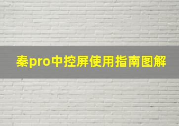 秦pro中控屏使用指南图解