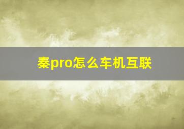 秦pro怎么车机互联