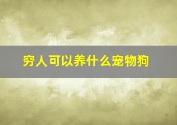 穷人可以养什么宠物狗